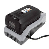 Snow Joe EcoSharp Pro Lithium-Ion battery, 40V 5.0 Ah, Ibat40xr