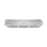 2 Piece Kitchen Appliances Packages Including Portable 2 Heating Elments Induction Cooktop and 30 Under Cabinet Range Hood