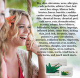 Hawaiian Moon Aloe Cream 9 Ounce Jar and Two Travel Size 3/4 Ounce Jars