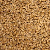 Briess 2-Row Brewers Malt for Home Brewing-50 lbs.