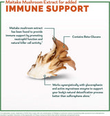 Avmacol Extra Strength Sulforaphane Production System for Immune Support, 75 Tablets